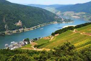 Круиз по Рейну на теплоходе - описание, особенности и отзывы