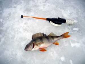 ❶ Как выбрать эхолот для зимней рыбалки